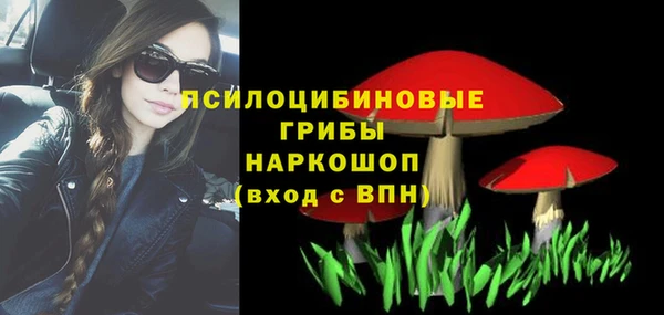 PSILOCYBIN Аркадак