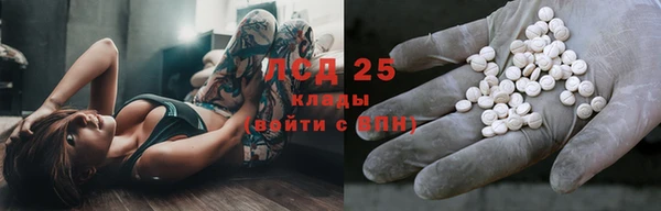 PSILOCYBIN Аркадак