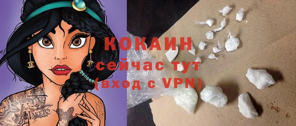 PSILOCYBIN Аркадак