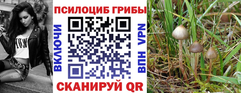 Псилоцибиновые грибы MAGIC MUSHROOMS  Сорск 